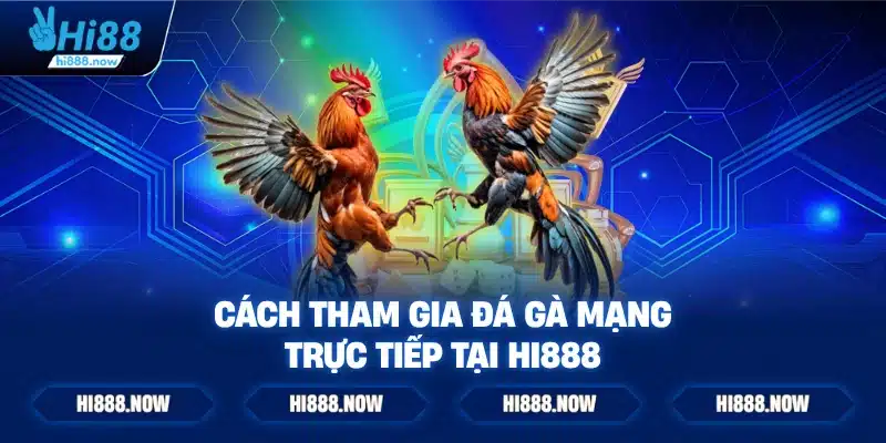 Cách tham gia đá gà mạng trực tiếp tại HI888