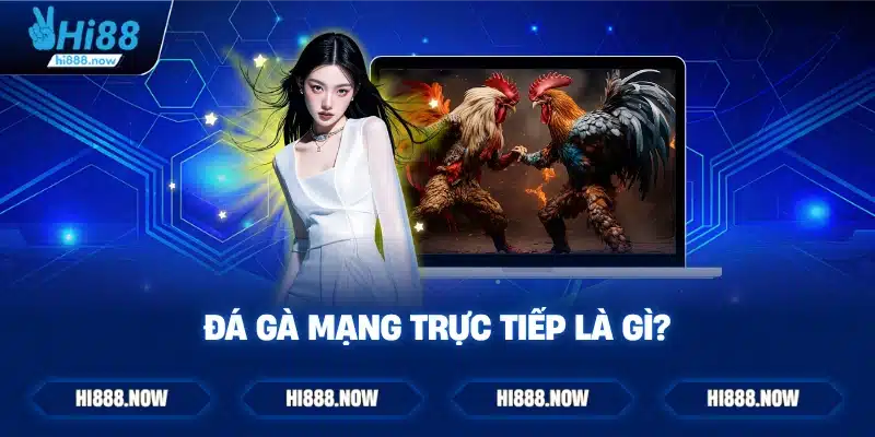 Đá gà mạng trực tiếp là gì?