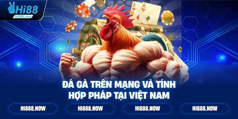 Đá gà trên mạng và tính hợp pháp tại Việt Nam